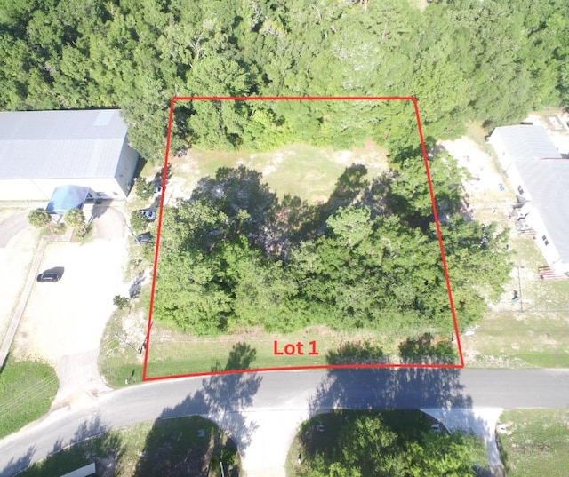 Listing photo 2 for XX Feli Way, Crawfordville FL 32327