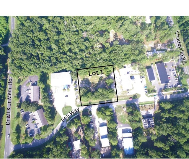 XX Feli Way, Crawfordville FL, 32327 land for sale