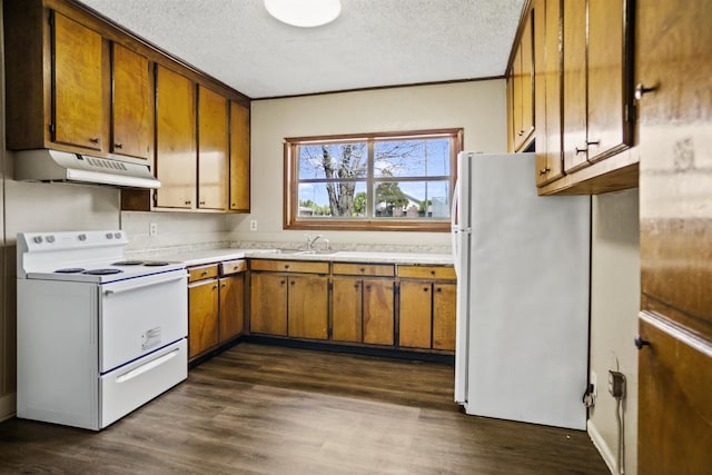 kitchen featuring dark wood-type flooring, sink, a textured ceiling, and white appliances