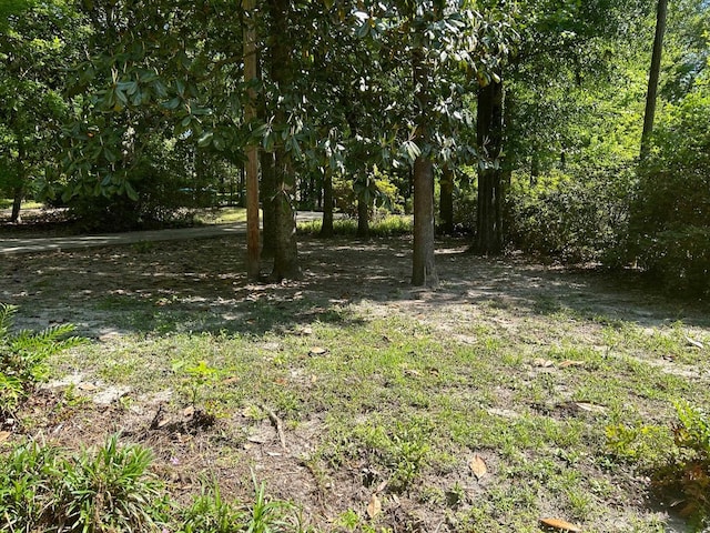 2507 Tallavana Trl, Havana, FL 32333 - photo 5