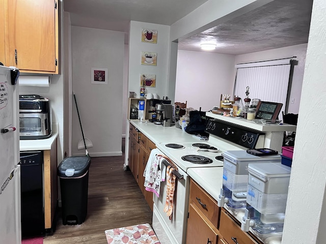 kitchen with range with electric stovetop and dark hardwood / wood-style flooring