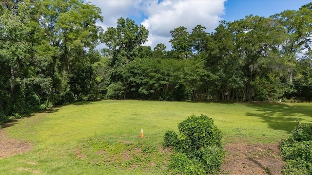 4059 Centerville Rd, Tallahassee, FL 32308 - photo 5