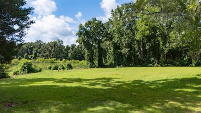 4059 Centerville Rd, Tallahassee, FL 32308 - photo 4