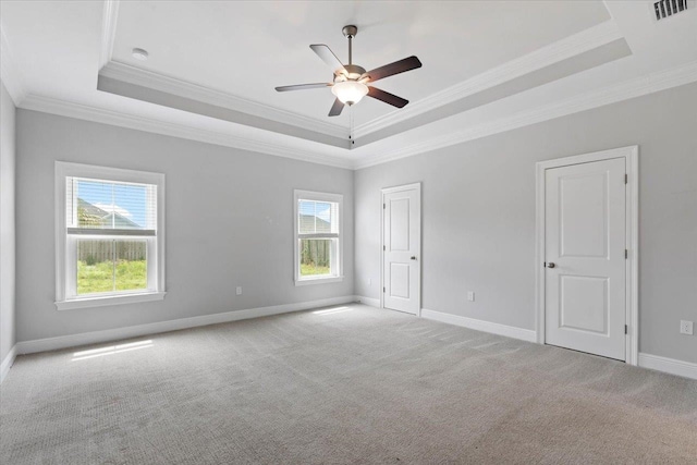 unfurnished room with a wealth of natural light, a raised ceiling, and crown molding