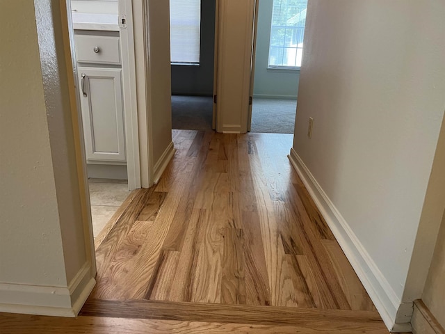 296 Timberlane Rd, Tallahassee, FL 32312 - hall featuring baseboards and light wood-style flooring