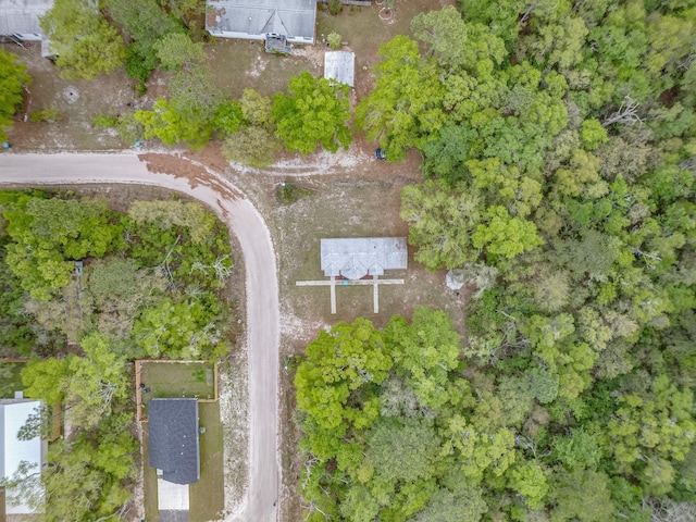 5 Pam Dr, Crawfordville, FL 32327 - photo 26