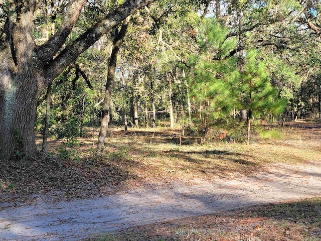 00 Landry Rd, Perry, FL 32348 - photo 1