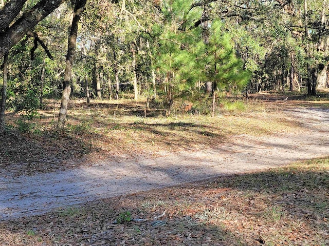 Listing photo 3 for 00 Landry Rd, Perry FL 32348