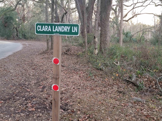 00 Landry Rd, Perry, FL 32348 - photo 7