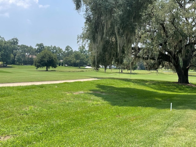 view of property's community with a yard