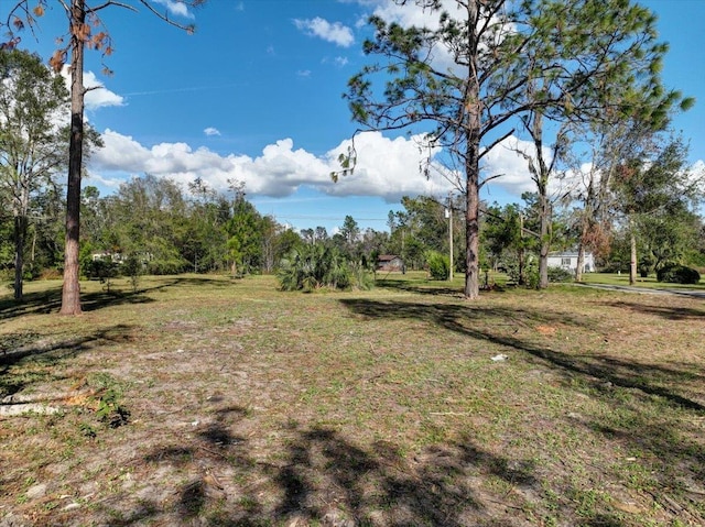 3575 Woodmore Ln, Perry FL, 32348 land for sale