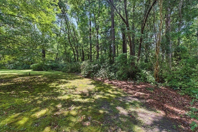711 Kenilworth Rd, Tallahassee, FL 32312 - view of grassy yard featuring a wooded view