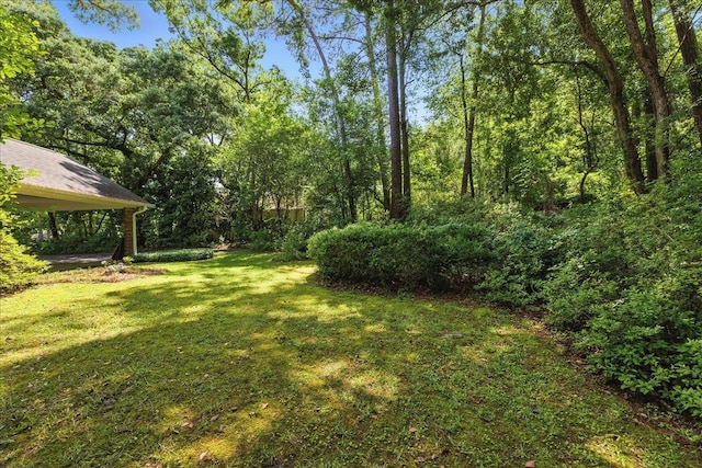 711 Kenilworth Rd, Tallahassee, FL 32312 - view of grassy yard