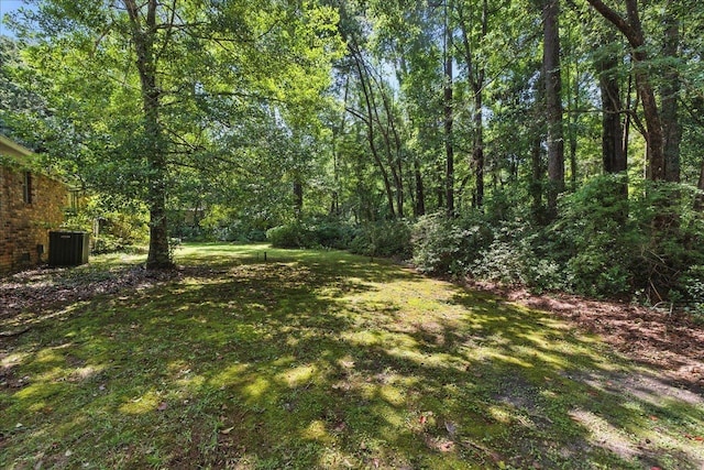 711 Kenilworth Rd, Tallahassee, FL 32312 - view of grassy yard