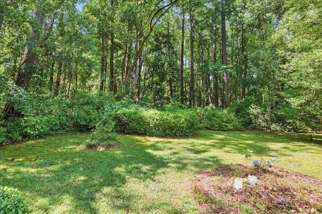 711 Kenilworth Rd, Tallahassee, FL 32312 - view of green lawn featuring a wooded view