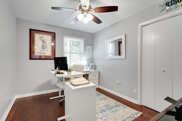 office area featuring dark hardwood / wood-style floors and ceiling fan