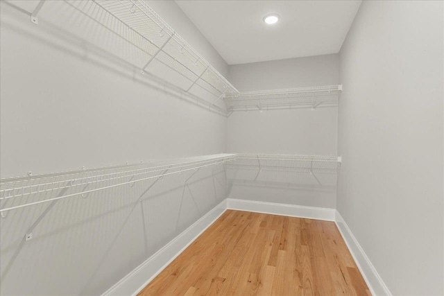 3837 Ardmore Ln, Tallahassee, FL 32308 - photo 39