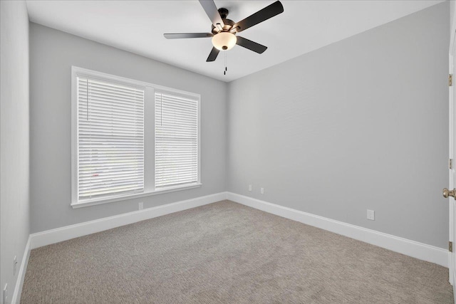 3837 Ardmore Ln, Tallahassee, FL 32308 - photo 47
