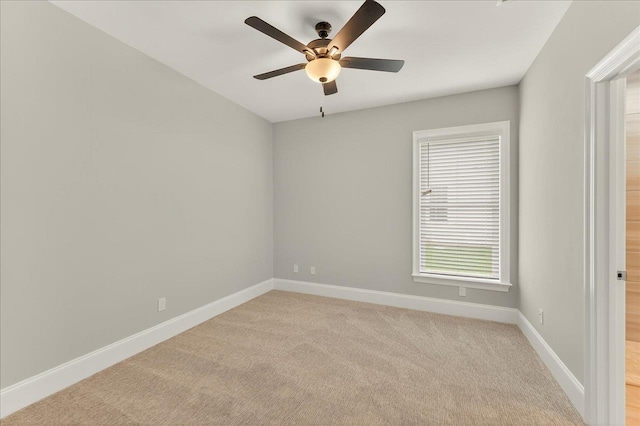 3837 Ardmore Ln, Tallahassee, FL 32308 - photo 14