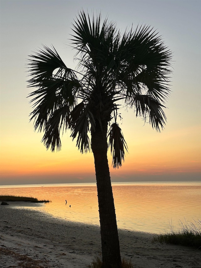71 Royster Dr, Crawfordville, FL 32327 - water view featuring nearby beach