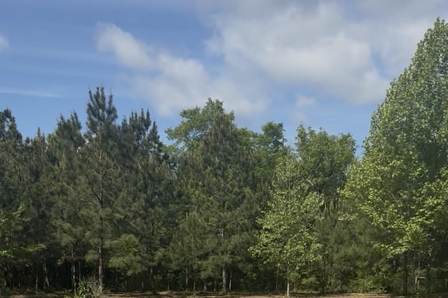 4914 Old Federal Rd, Quincy, FL 32351 - photo 2
