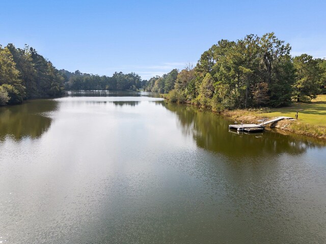 view of water feature