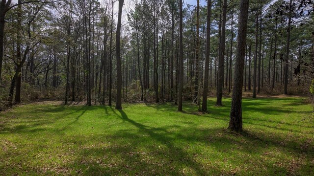 740 Casa Ribera Ln, Tallahassee, FL 32312 - photo 32