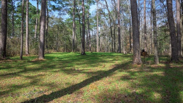 740 Casa Ribera Ln, Tallahassee, FL 32312 - photo 31