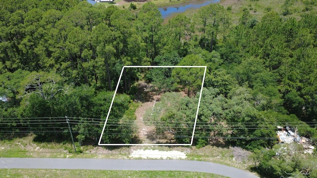 xx Coastal Highway, Panacea, FL 32346