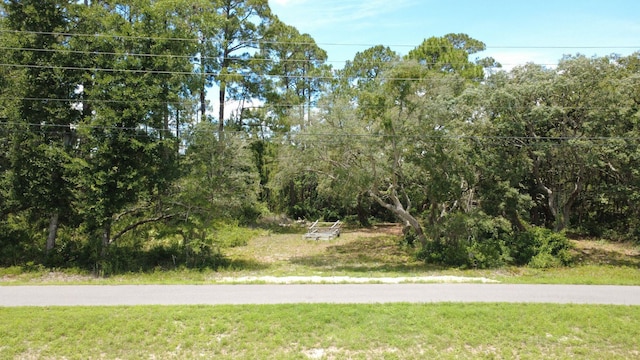xx Coastal Highway, Panacea, FL 32346