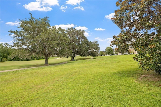 3686 Longfellow Rd, Tallahassee, FL 32311 - view of grassy yard with golf course view and view of scattered trees