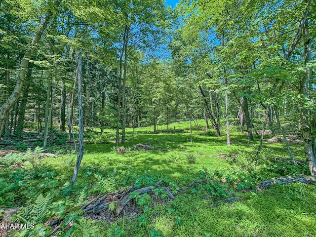 0 Springfield Rd, Penn Run, PA 15765 - photo 8