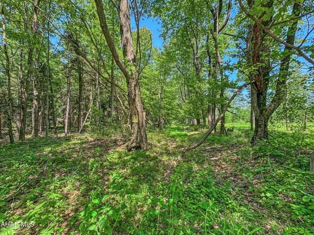 0 Springfield Rd, Penn Run, PA 15765 - photo 6
