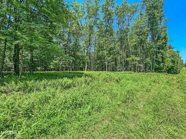 0 Springfield Rd, Penn Run, PA 15765 - photo 9