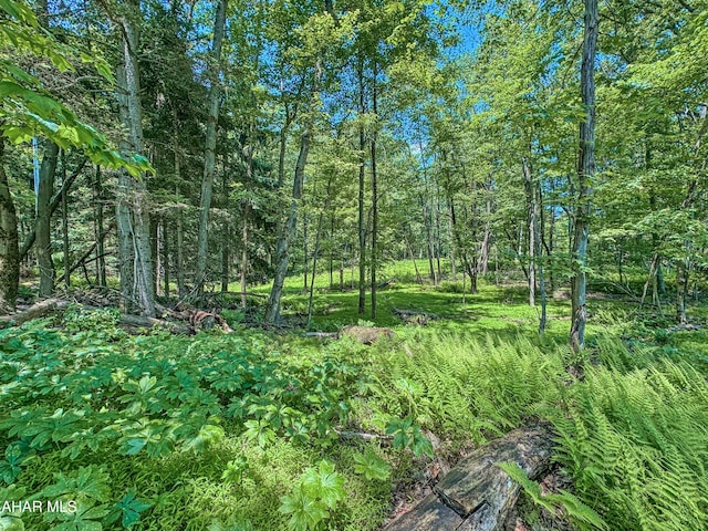 0 Springfield Rd, Penn Run, PA 15765 - photo 7