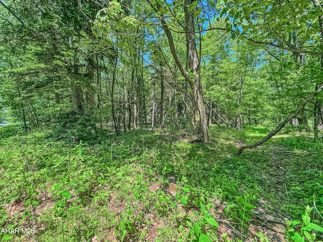 0 Springfield Rd, Penn Run, PA 15765 - photo 5