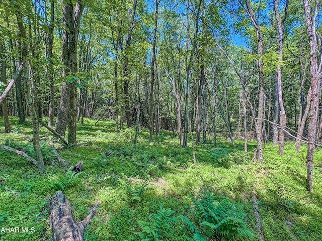 0 Springfield Rd, Penn Run, PA 15765 - photo 12