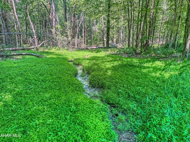 0 Springfield Rd, Penn Run, PA 15765 - photo 11