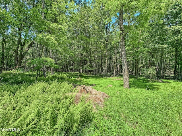 0 Springfield Rd, Penn Run, PA 15765 - photo 10
