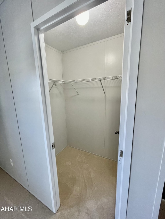 spacious closet with light colored carpet