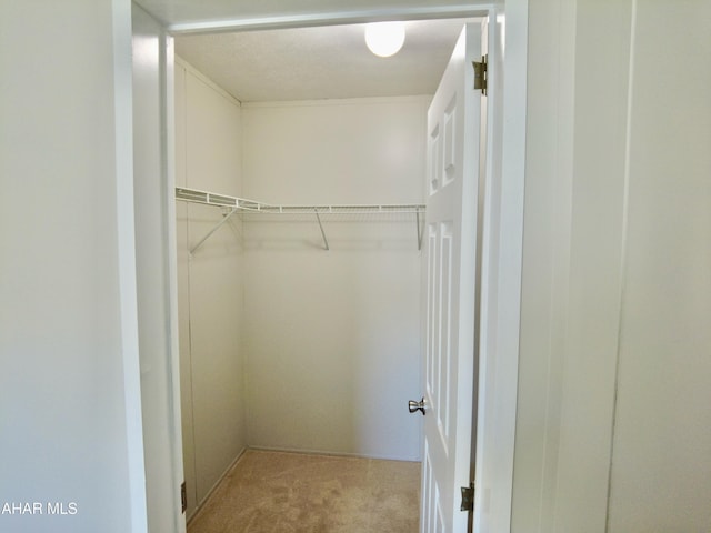 spacious closet with light carpet