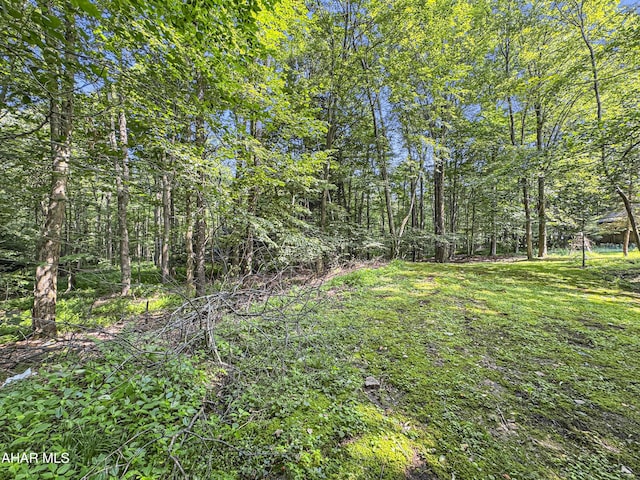 496 Vic Miller Rd, Strongstown, PA 15957 - photo 7