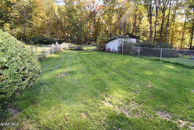 view of yard with a storage unit