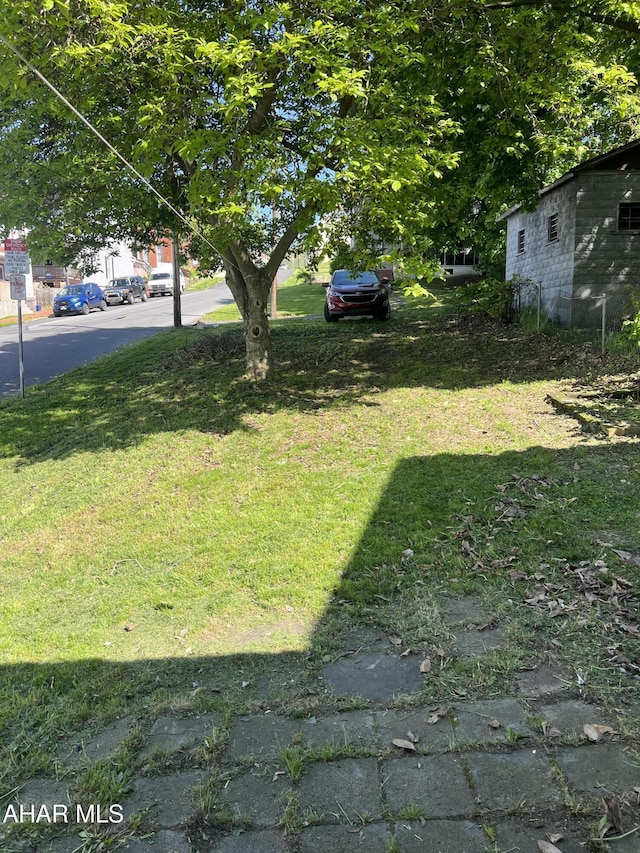 401 1st Ave, Altoona, PA 16602 - view of green lawn