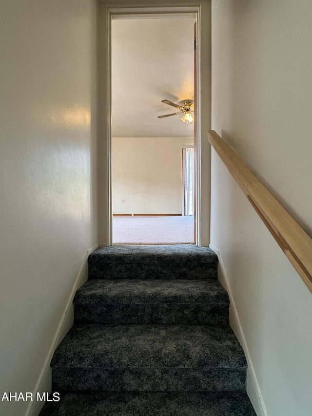 stairs with carpet flooring and ceiling fan