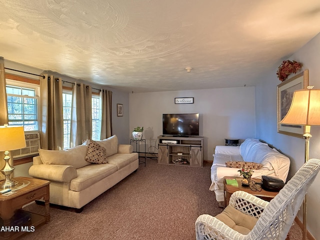 living room featuring carpet and a textured ceiling