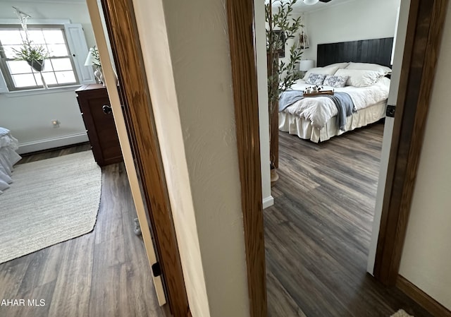 hall featuring dark hardwood / wood-style flooring and a baseboard heating unit