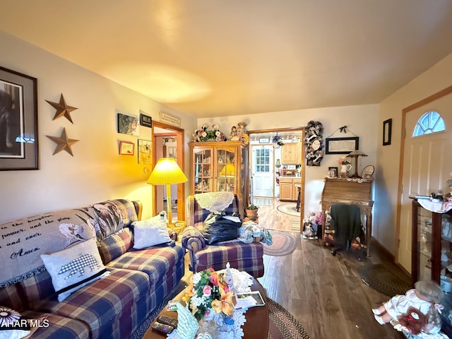 living room with hardwood / wood-style flooring