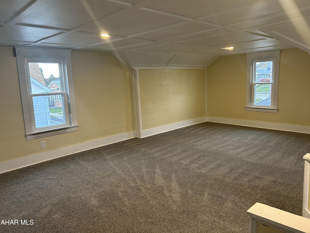 additional living space with carpet