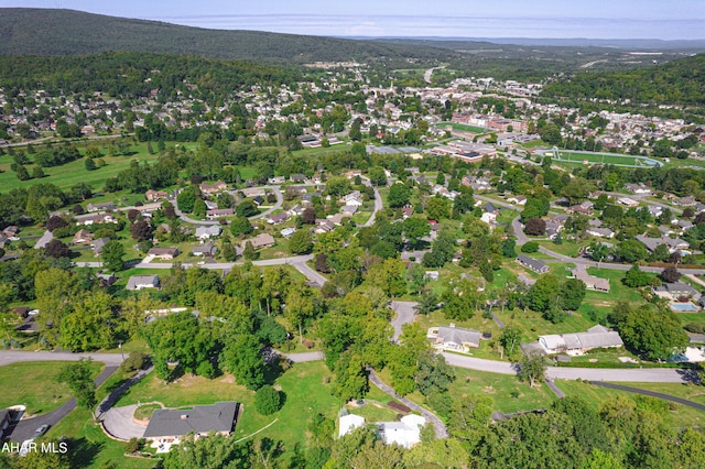 bird's eye view